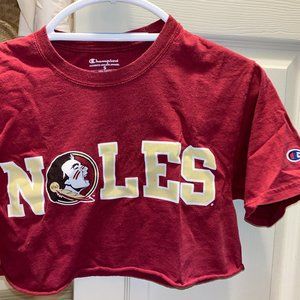 Vintage Champion Florida State Crop Top